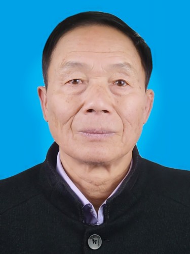 杨定槐