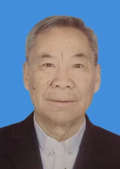 孙柏林